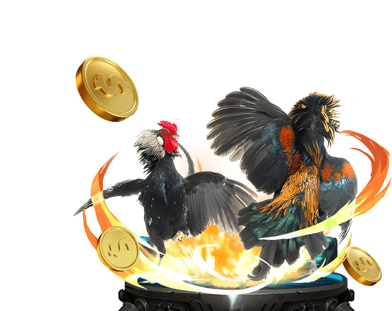 Tổng quan về nền tảng đá gà trực tuyến zingplay đăng nhập